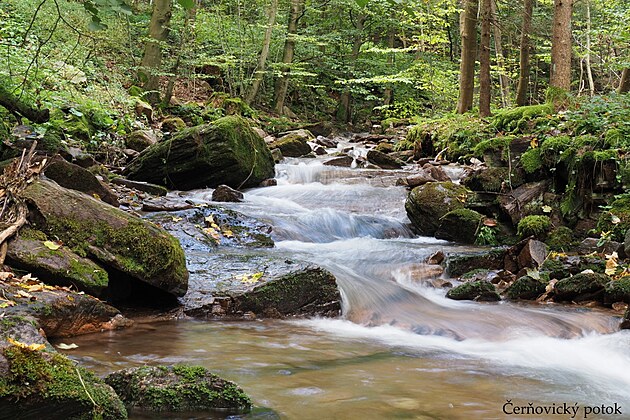 �er�ovick� potok. Orlick� hory, z��� 2024