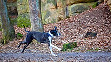 Nahlédnutí do Plakánku, s cílem vyfotit hrad za sluní�ka