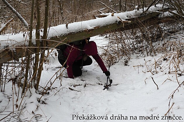 P�ek�ky na modr� zna�ce. Vokolo Moravy, �nor 2025