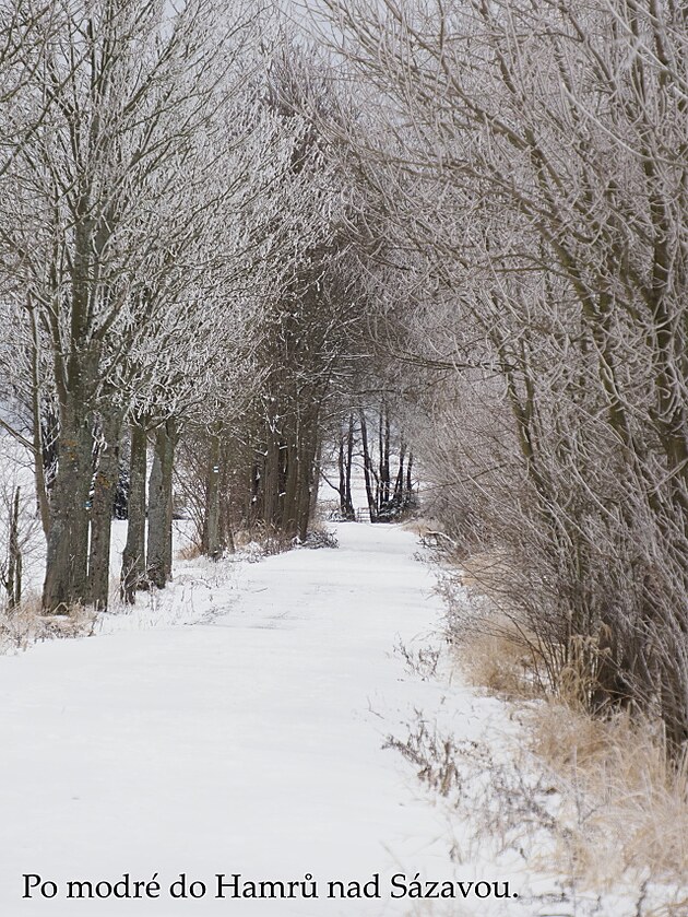 Do Hamr� nad S�zavou. Vokolo Moravy, �nor 2025