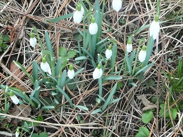 Ko���e, p�elom b�ezna a dubna 2025