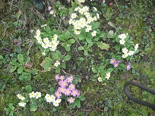 Ko���e, p�elom b�ezna a dubna 2025