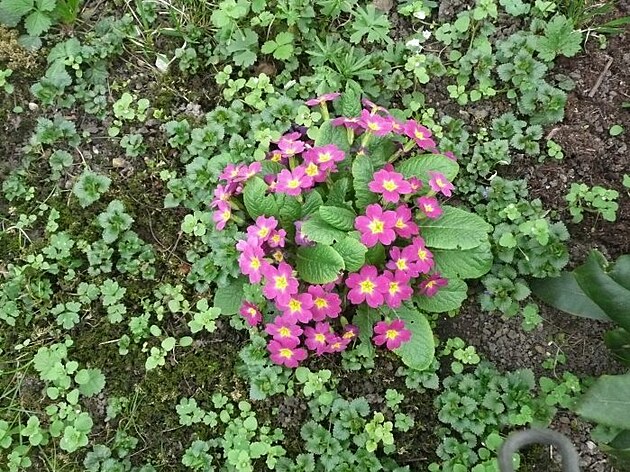 Ko���e, p�elom b�ezna a dubna 2025