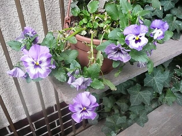 Ko���e, p�elom b�ezna a dubna 2025