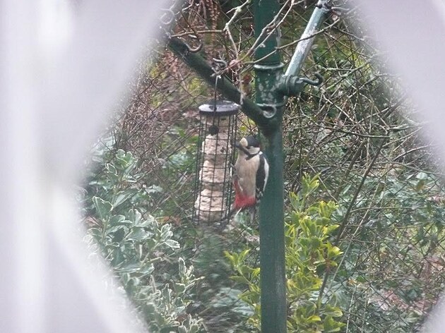 Ko���e, p�elom b�ezna a dubna 2025