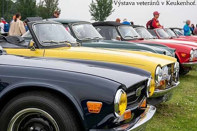 Keukenhof. Holandsko, kv�ten 2024