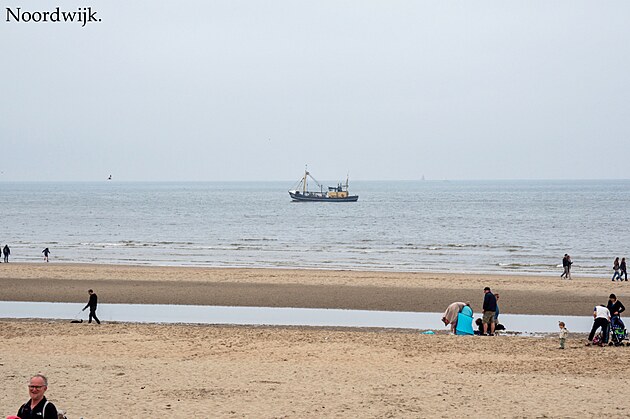 Noordwijk. Holandsko, kv�ten 2024
