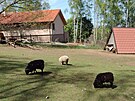 Zoo v Horní P�n�