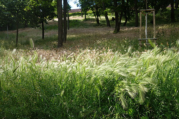 23. 5. 2025. Folimanka.