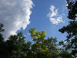 23. 5. 2025. Folimanka.