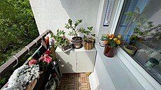 Zahrádka, kv�ten 2025