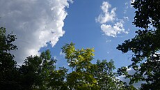 23. 5. 2025. Folimanka.