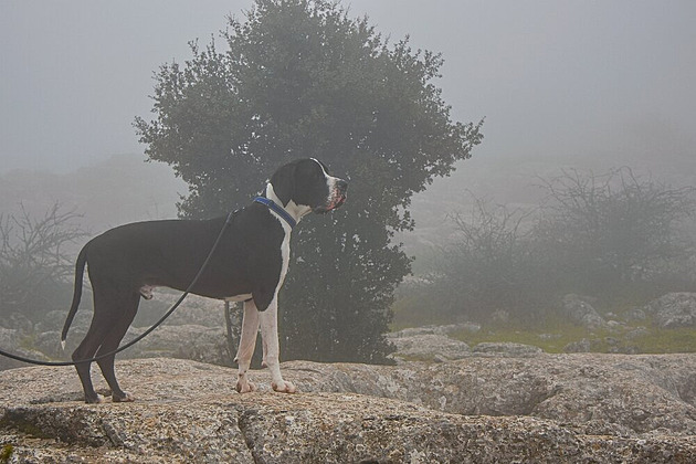 El Torcal utopený v mlze. Cesta do Andalusie, duben 2025