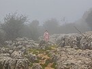 El Torcal utopený v mlze. Cesta do Andalusie, duben 2025