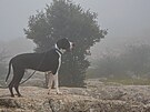 El Torcal utopený v mlze. Cesta do Andalusie, duben 2025