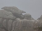 El Torcal utopený v mlze. Cesta do Andalusie, duben 2025