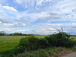 Zelený kvten 2025