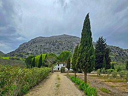 Píjezdová cesta lemovaná kosatci. Cesta do Andalusie, duben 2025