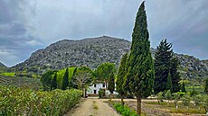 P�íjezdová cesta lemovaná kosatci. Cesta do Andalusie, duben 2025