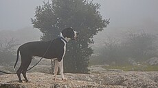 El Torcal utopený v mlze. Cesta do Andalusie, duben 2025