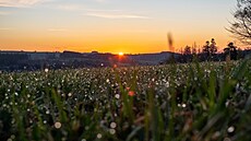 Východ slunce nad Hornosvrateckou pahorkatinou. Cesta �Vokolo Moravy�, duben...