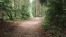 Beskydy, �ervenec 2024