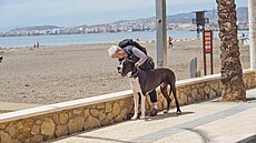 Otírám hubu Yodovi, neb je výjime�né teplo (22 stup��). Cesta do Andalusie,...