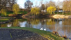Láze�ský park v p�lce b�ezna � Bad Zwesten, Hesensko