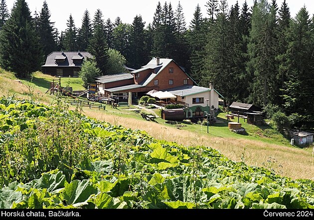 Beskydy a Javorn�ky, �ervenec 2024