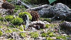 Beskydy a Javorníky, �ervenec 2024