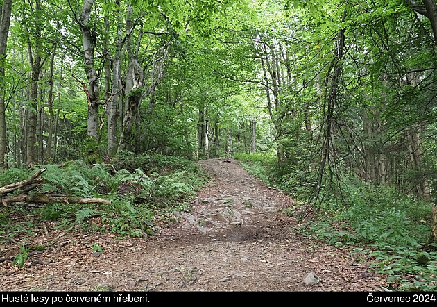 Beskydy a Javorn�ky, �ervenec 2024