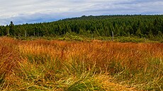 Kle�ová lou�ka. Jizerské hory, zá�í 2025