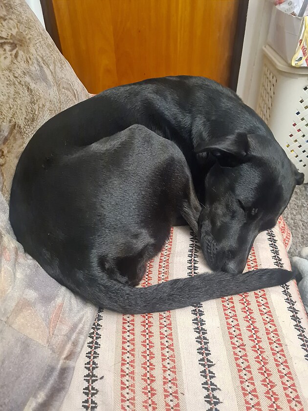 Tess - gau� je holt gau�.