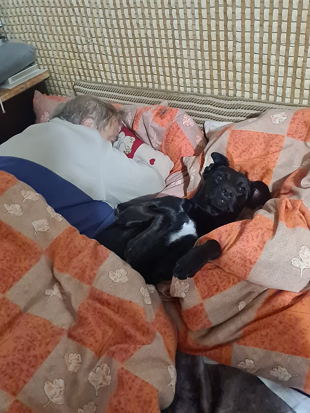 Tess je evidentn� v dobr� kondici i n�lad�, prost� ps� �ivot!