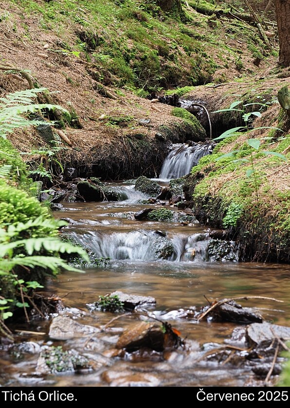 Tich� Orlice. Vokolo Moravy. �ervenec 2025