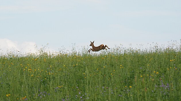 Vokolo Moravy. �ervenec 2025