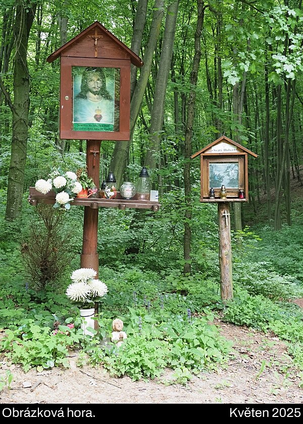 Pova�sk� Inovec, kv�ten 2025, den 4