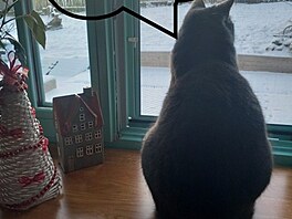 1. Váno�ní p�ání od Petry K., 2025