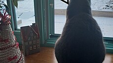 1. Váno�ní p�ání od Petry K., 2025