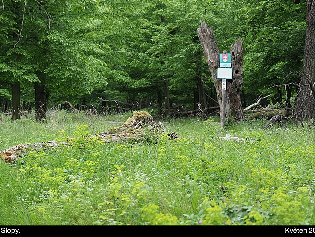 Mal� Karpaty (navazuj� na Pova�sk� Inovec), kv�ten 2025, den 5