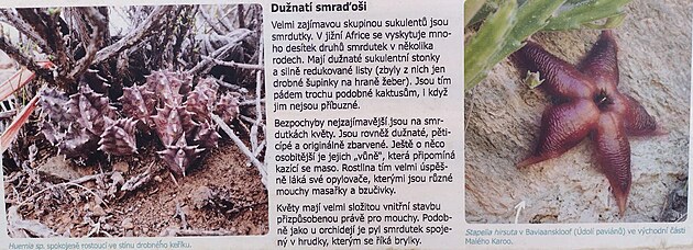 Botanick� zahrada v Praze Na Slupi