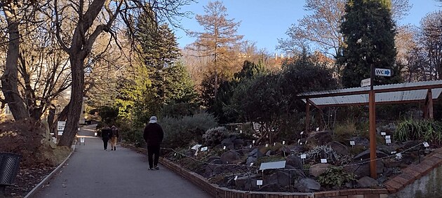 Botanick� zahrada v Praze Na Slupi, V�noce 2025