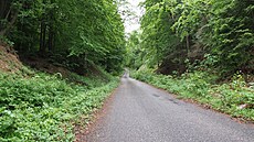 Malé Karpaty (navazují na Pova�ský Inovec), kv�ten 2025, den 5