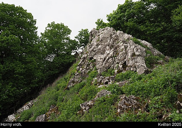 Mal� Karpaty, kv�ten 2025, den 7