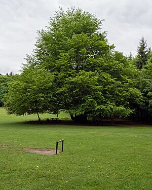 Mal� Karpaty, kv�ten 2025, den 7