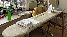 Oblíbené �ehlicí prkno