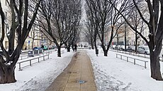 29. ledna 2026 na Tylov� nám�stí v Praze