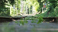 Vystupuji z vlaku. �umava, �erven 2025. Den 1.