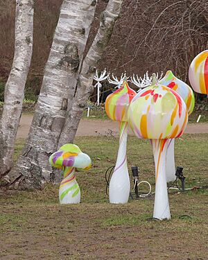 K�i���lov� zahrada, mistr Ji�� Pa�inek (Botanick� zahrada v Praze-Troji, �nor...