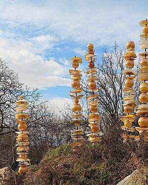 K�i���lov� zahrada, mistr Ji�� Pa�inek (Botanick� zahrada v Praze-Troji, �nor...